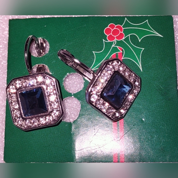 Leverback Blue Zircon Drop Earrings - Picture 14 of 15